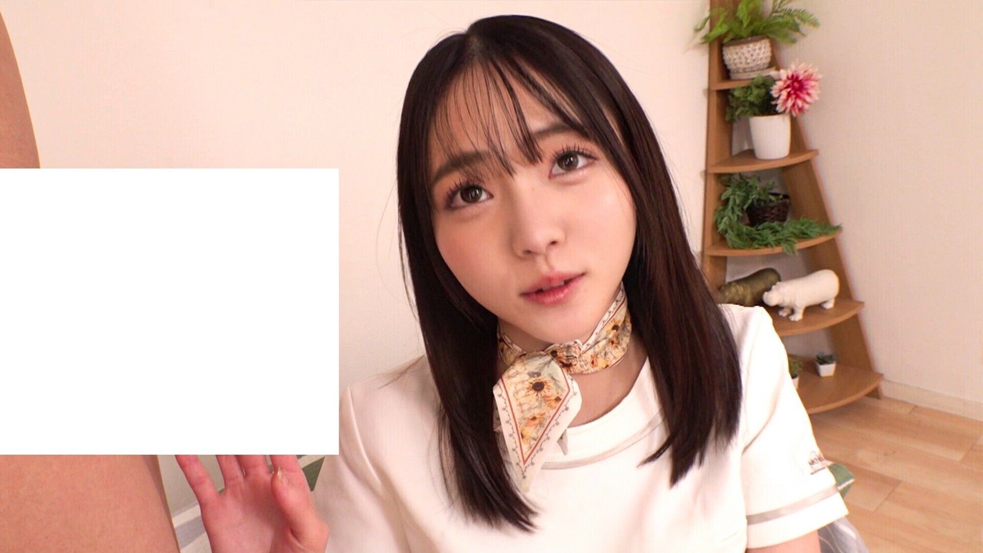めぐりさん