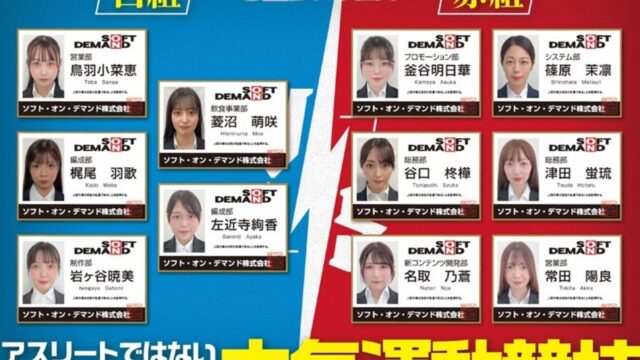 SOD女子社員 2025年度ソフト・オン・デマンド運動会 男女総勢37名の社員合戦！