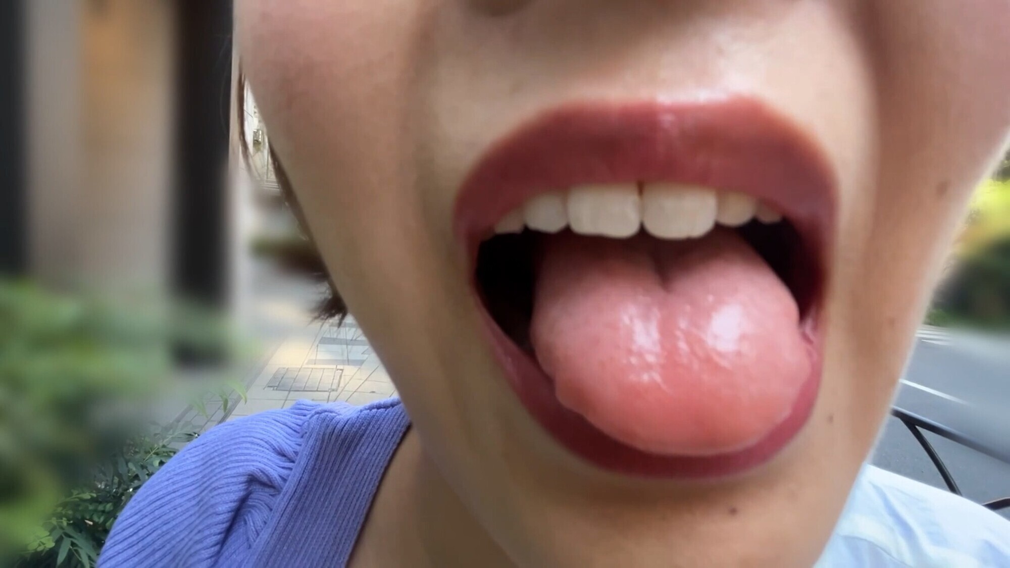 【特価】口腔観察 VOL.3 4名59分お買い得セット